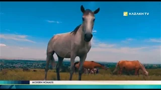 Казахская лошадь. Прошлое и настоящее