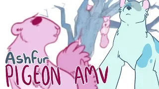 Ashfur Pigeon AMV [gore warning]