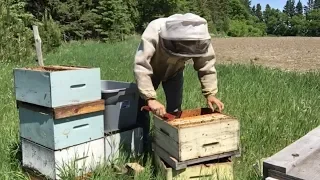 Quick and Exact Way to Split Hives