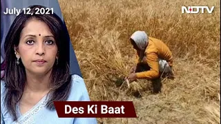 Des Ki Baat: Farmers Fear Crop Loss Due To Rain Deficit