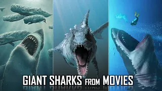 Top 10 Biggest Movie Sharks In 2023
