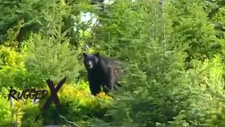 Vancouver Island Black Bear Hunt