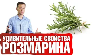 Польза розмарина для здоровья✅