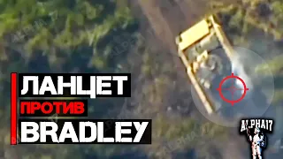 Ланцет против Bradley (БМП)