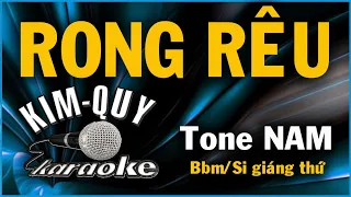 RONG RÊU - KARAOKE - Tone NAM ( Bbm/Si giáng thứ )