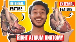 Right atrium anatomy | External and internal features of right atrium