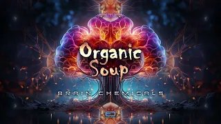 Organic Soup - Brain Chemicals