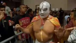 Tales of Masked Men - The Lucha Libre Audience