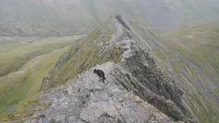 Sharp Edge, Blencathra, May 3rd 2024- down