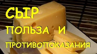 Сыр. Польза и вред.