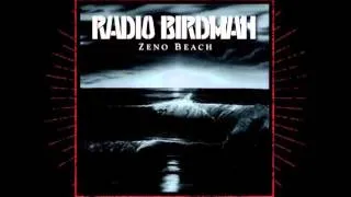 Radio Birdman - Connected