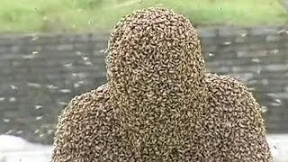 Man breaks Guinness record for the longest time spent covered in bees