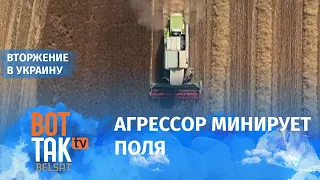 На востоке Украины посевная упущена / Война в Украине