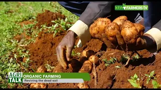 Organic farming and reviving dead soil - AgriTalk |part 1|