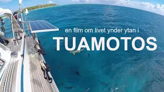 Tuamotos, Franska polynesien, Söderhavet 2018