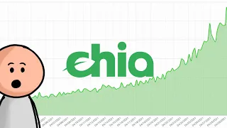 WHY THE CHIA COIN (XCH) IS THE NEW BITCOIN | Crypto Analysis