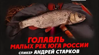 Стрим с Андреем Старковым о ловле голавлей в малых реках Юга России