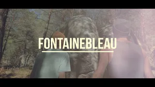 Teaser Fontainebleau Chronicle Vol.3