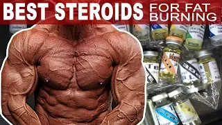 The Best Steroids For Burning Fat