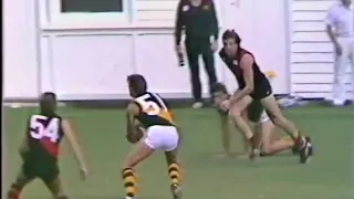 OMG 😱.  Pigeons released after Richmond Reserves goal in AFL Football 1985.