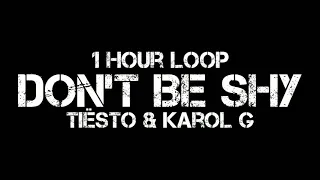 Tiësto & Karol G - Don't Be Shy (1 Hour Loop)