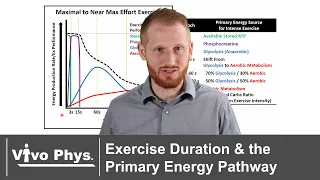 Exercise Duration and the Primary Energy Pathway - Exercise Metabolic Transitions