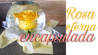 Rosa en esfera de Cristal // como hacer una rosa encapsulada en agua //  Mary Lopez