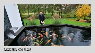Modern Koi Blog #4999 - Eine Wasseranalyse an Marcs Teich