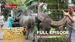 67-anyos na lola, emosyonal na nagpaalam sa kanyang alagang kalabaw | Kapuso Mo, Jessica Soho