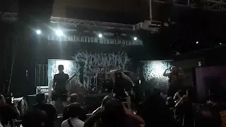 Extermination Dismemberment - Disemboweled Engorgement - Live in Milan (11/8/2022)