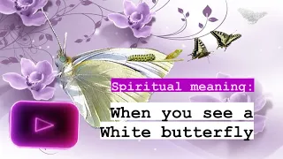 Spiritual meaning of seeing a White butterfly