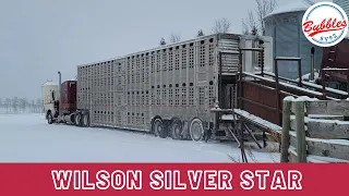 Wilson Silver Star Cattle Trailer Review #peterbilt #Kenworth