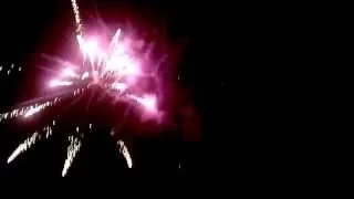 HH Bhakti Caitanya Swami - Leading kirtan - Boat festival - fireworks