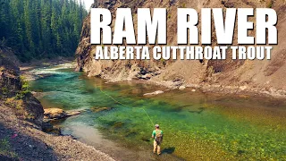 Fly Fishing Alberta's Ram River Canyon for Cutthroat Trout - Multiple Fly Fishing Tactics