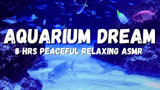 Sea Aquarium: Underwater asmr, The Most Relaxing Thing You'll Hear All Day, Dream Aquarium