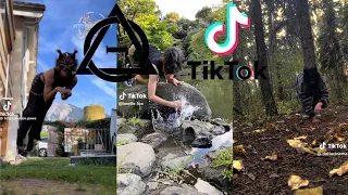 Therian and Quadrobics TikToks || Compilation 🐾🍂 || Alterhumans of TikTok #40