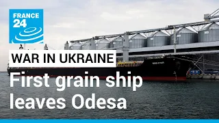 First Ukrainian grain shipment leaves Odesa since start of war • FRANCE 24 English