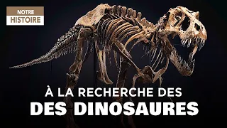 Chasseurs de dinosaures : les paléontologues fouillent le passé - Documentaire préhistoire - CTB