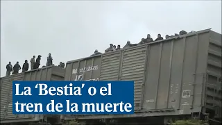 La 'Bestia', el tren que transporta cada día a miles de migrantes a la frontera con Estados Unidos