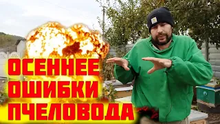 Осенние ошибки пчеловода. Что нужно пчеловоду в первую очередь осенью на пасеке