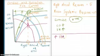 Easy Ways to Understand Cardiac and Vascular Function Curves