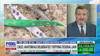 Sen. Ted Cruz: Mayorkas Is Deliberately Defying Federal Law And Creating The Crisis On The Border