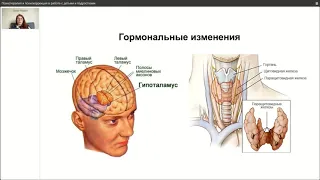 Физическое злоупотребление и инцест: психотерапия стыда и чувства вины у подростков. Юлия Ткалич