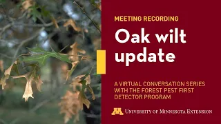 Forest Pest First Detector discussion series: Oak wilt update