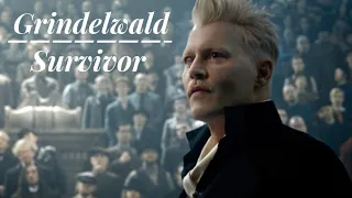 Grindelwald ~ Survivor