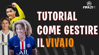 COME GESTIRE IL VIVAIO SU FIFA 21!