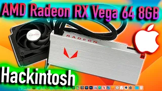 AMD RADEON RX VEGA 64 8GB | MACOS 13 VENTURA | HACKINTOSH - ALEXEY BORONENKOV | 4K