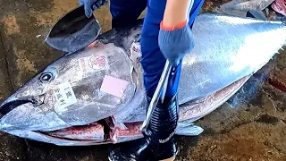 Sharpest Knife in The World Easily Cut Giant Bluefin Tuna in 3 Minutes