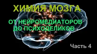 «ХИМИЯ» МОЗГА: ОТ НЕЙРОМЕДИАТОРОВ ДО ПСИХОДЕЛИКОВ. Вячеслав Дубынин Biofak МГУ  Часть 4.