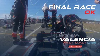 Final Race OK in 8' onboard Nathan Tye/SodiKart | Euro Series Round 1, Valencia